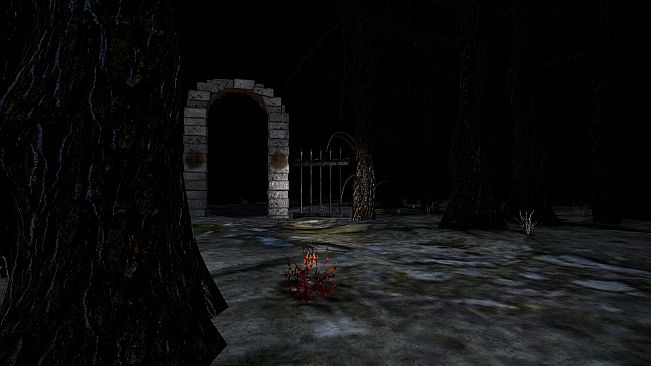The Woods