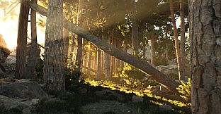 The Archipelago Promise