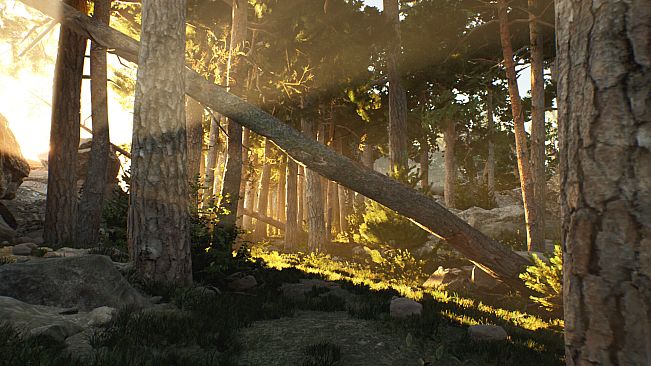 The Archipelago Promise