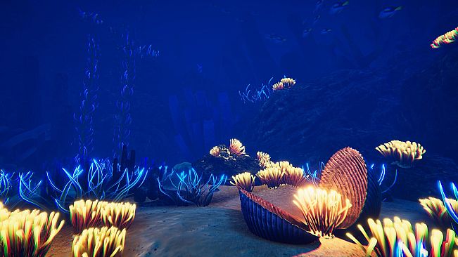 Ocean Fish