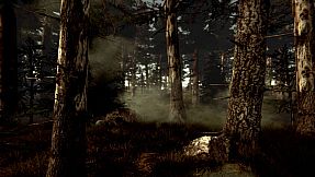 Dr. Emmerson's Nocturnes