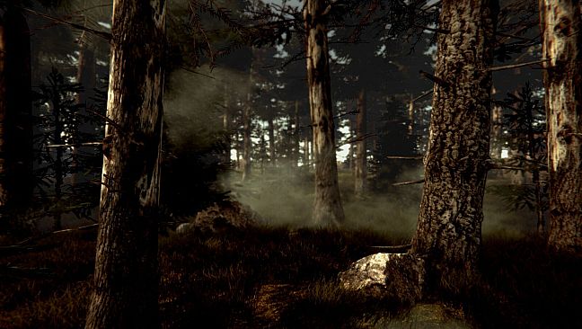 Dr. Emmerson's Nocturnes