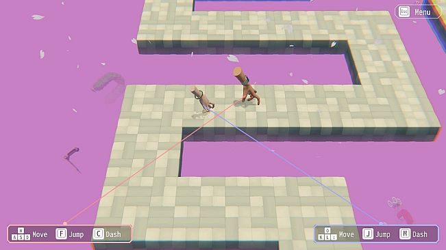 Hypotheses on the Symmetry between Vision and Hands