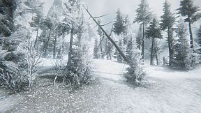 Natural Elements Online