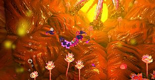 Into the Belly of the Beast