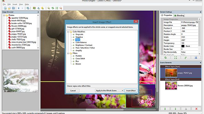 PhotoTangler Collage Maker