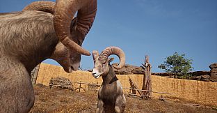 Ram Fights