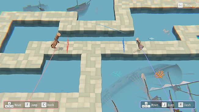 Hypotheses on the Symmetry between Vision and Hands