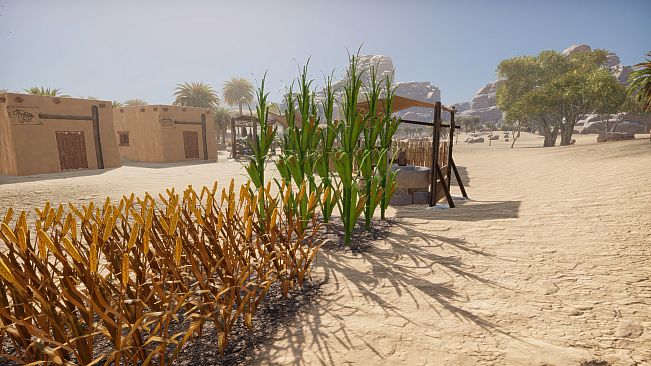 Ancient Farm