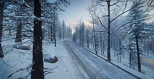 DiRT Rally 2.0 - Sweden (Rally Location)