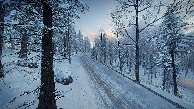 DiRT Rally 2.0 - Sweden (Rally Location)