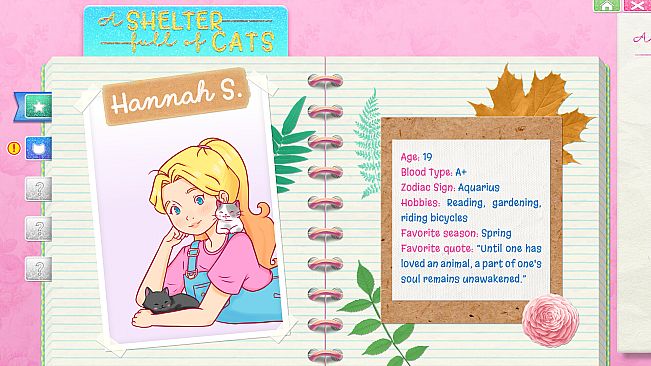 A Shelter Full of Cats