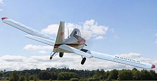 RealFlight Evolution - 2023 Year Content Pass