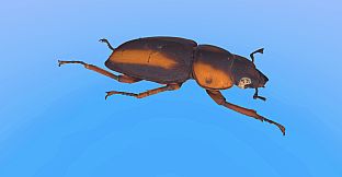 Retropy VR: Amazing Insects #1