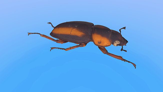 Retropy VR: Amazing Insects #1
