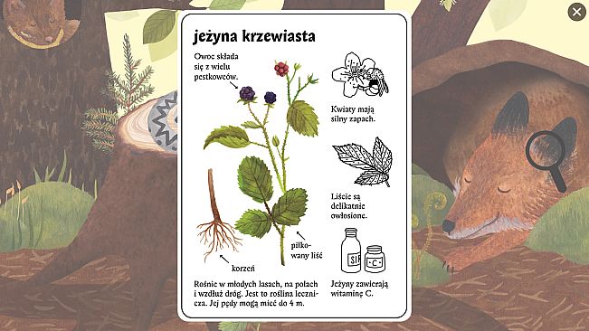 Little Mouse's Encyclopedia