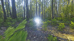 Mindfulness Simulator - ASMR Meditation Game