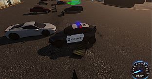 Police Air Transporter