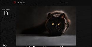 Online Adult Content Manager - Local Content Manager