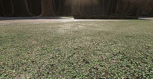Six-Leaf Clover Hunt