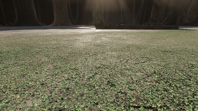 Six-Leaf Clover Hunt