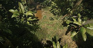 Tropica: Survival 1095