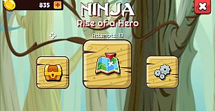 Ninja: Rise of a Hero