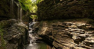 Get Lost In Nature With Luke