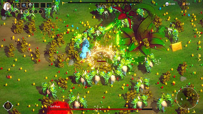 Sexy Mystic Survivors