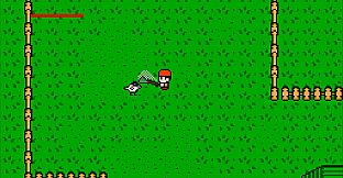 Oztrich: An Adventure