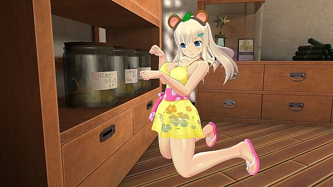 SENRAN KAGURA Peach Ball - Outfit Sextet 2