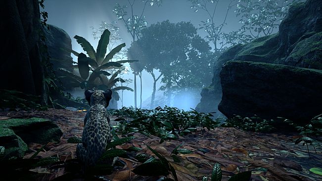 Kito: Lost Trail
