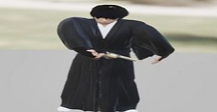 The Ronin: Samurai Gunslinger