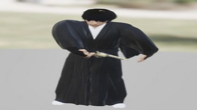 The Ronin: Samurai Gunslinger