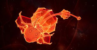 Lifecycles of the Traveler Spider