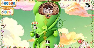 MeowPlay