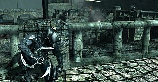 Dark Sector