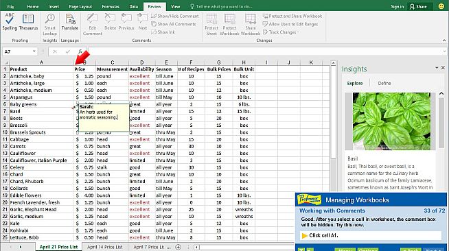 Professor Teaches Excel 2016