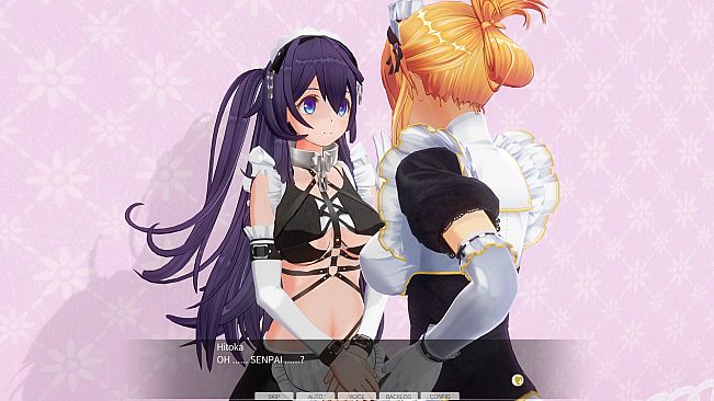 CUSTOM ORDER MAID 3D2 Character EX Pack Perverted Extreme Masochist