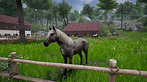 Horse Riding Deluxe 2
