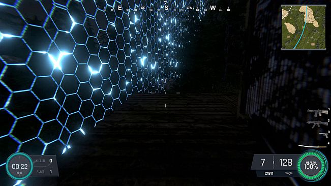 Infected Battlegrounds