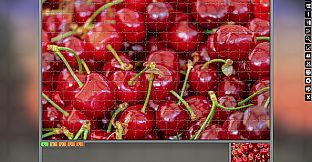 Jigsaw Puzzle Pack - Pixel Puzzles Ultimate: Variety Pack 5