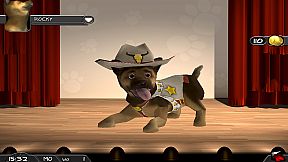 My Best Friends - Cats & Dogs