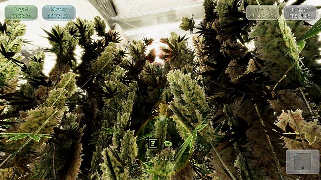 Medicinal Herbs - Cannabis Grow Simulator