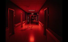 BACKROOMS THE COMPANY