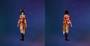 DW8E: Edit Parts - Equipment Kimono