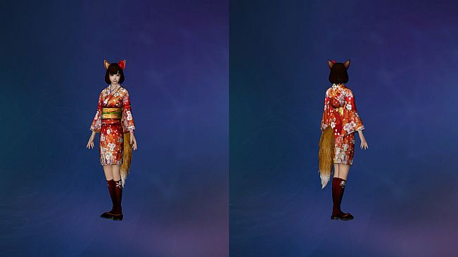 DW8E: Edit Parts - Equipment Kimono