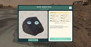 Pet Rock Workshop