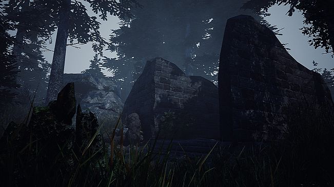 Abandoned Hearts