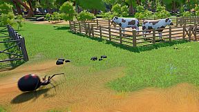 Wild Roots : Chef Vs Critters